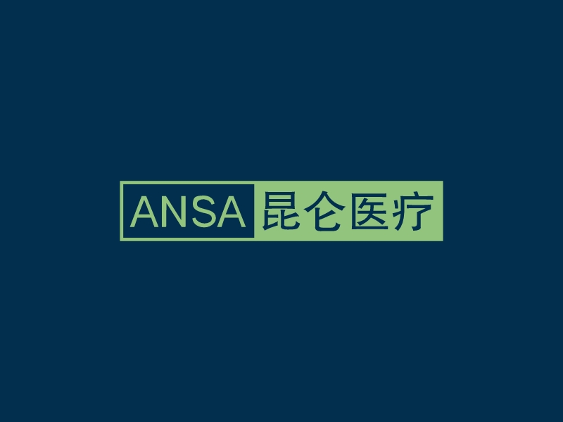 ANSA 昆仑医疗AIPPT制作